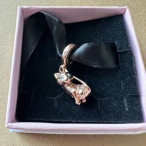 Pandora Pet Kitty Charm